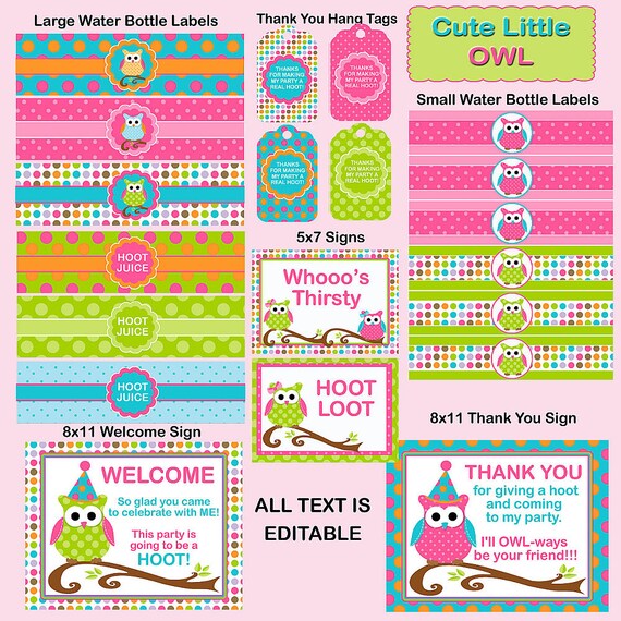 Owl Printable Party Package EDITABLE text Includes Owl