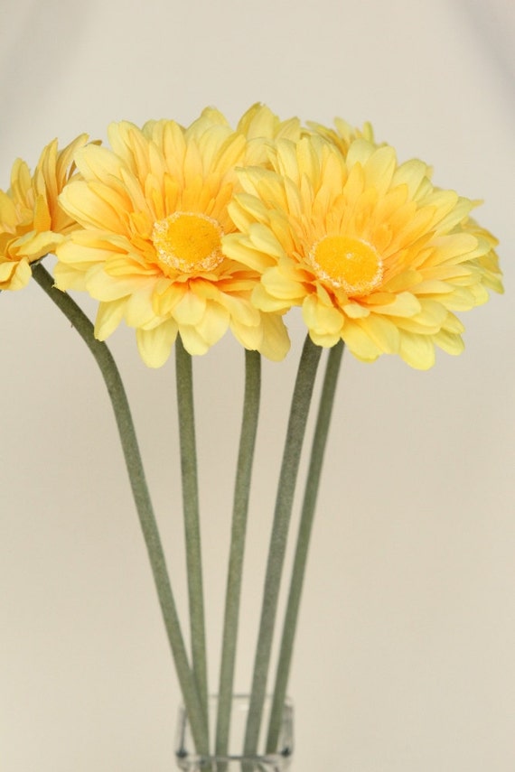 Long Stemmed Large Gerber Daisy in Yellow 22 inch stem