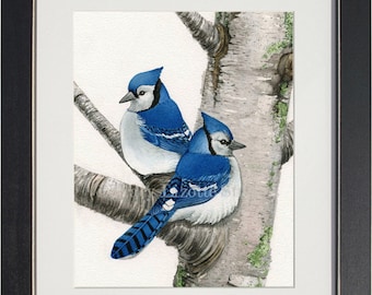 Blue Jays in Birch Tree - archival watercolor print by Tracy Lizotte