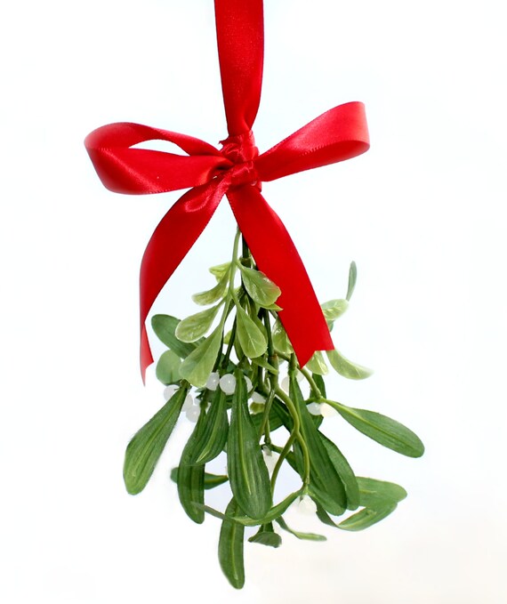 Pucker Up Hanging Mistletoe