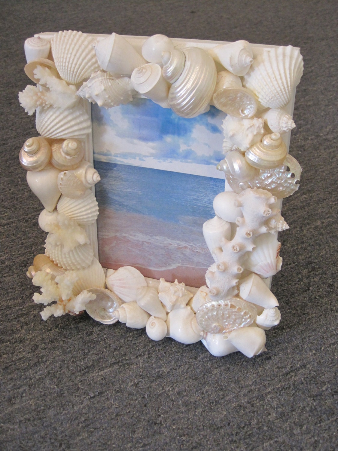 Beach Decor Seashell Picture Frame Shell Frame White