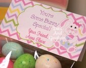 Easter Bunny Treat Bag Topper-Easter Girl Bunny Egg Treat Bag Topper-Easter Printable-Bunny Egg Treat Bag Topper-Chevron Multi Color Easter Il_170x135