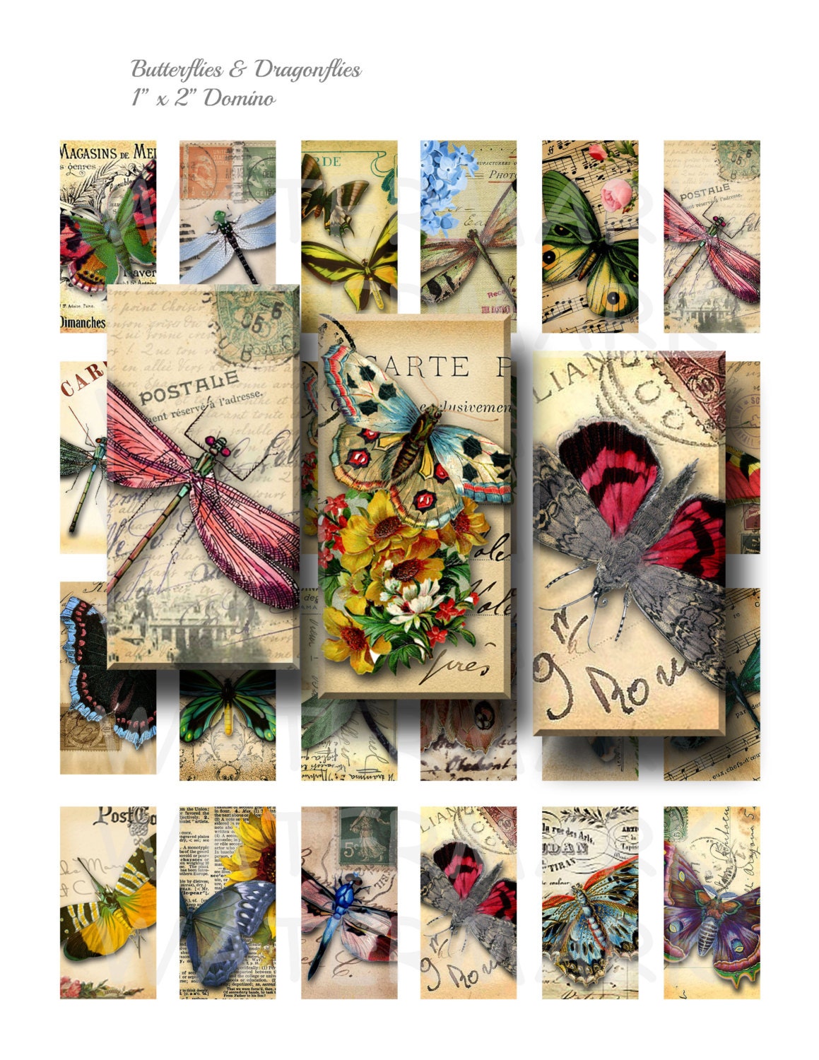 It is a graphic of Zany Digital Collage Sheets This is a picture of Zany Digital Collage Sheets