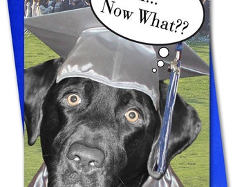 Popular items for dog graduation on Etsy