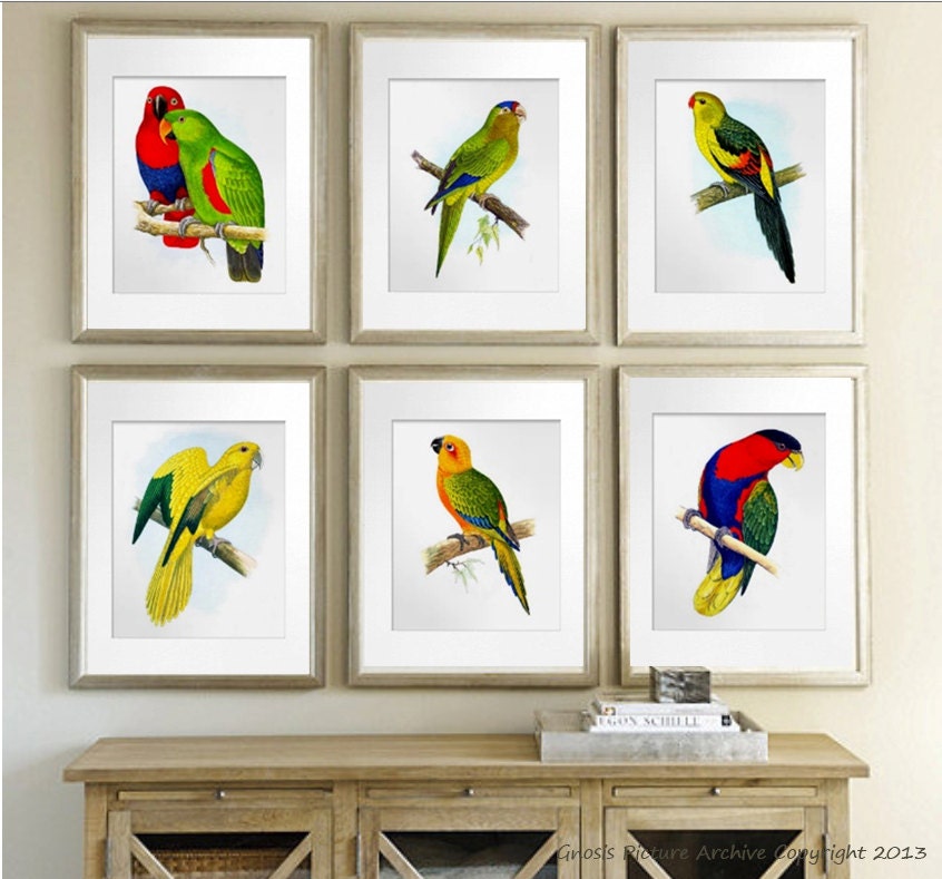Birds Wall Art antique bird prints tropical art decor antique bird wall art Birds Wall Art antique bird prints tropical art decor antique bird wall art