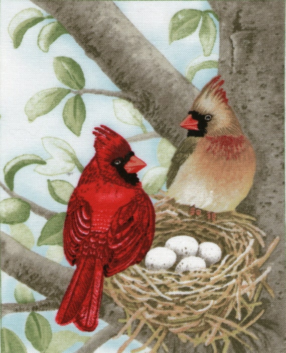 Cardinal birds nest Fabric Panel Block Quilting Appliqué
