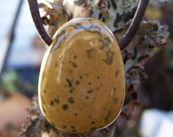 Ocean Jasper smooth briolette , chocolate brown leather necklace
