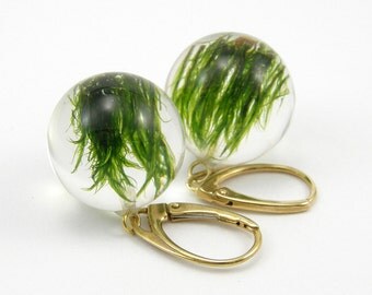 Green Moss Earrings, Gold Plated Silver, Resin Earrings, Ball Earrings, Resin Jewelry, Moss Jewellery, Moss