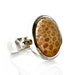 Fossil Coral Ring Sterling Silver Bezel Set Cab .925 Silver Ring Natural Coral Cabochon