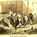 1889 Steel Engraving - Bantam Fowls
