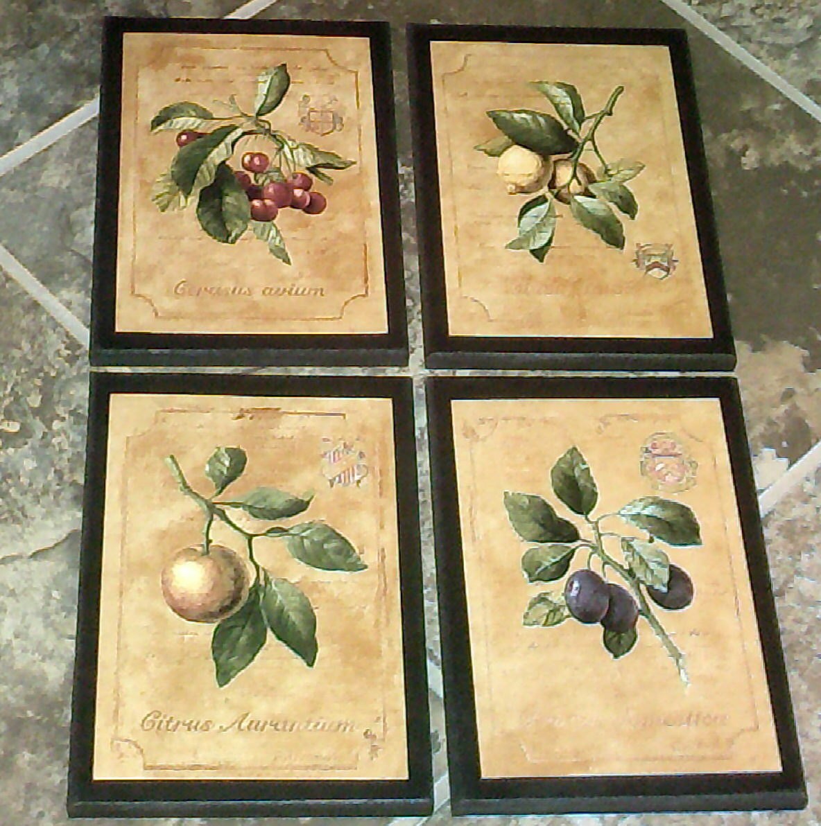 Fruit 4 Kitchen Wall Decor Signs plaques set colorful yellow