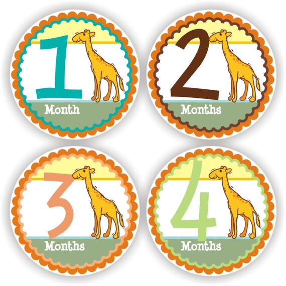 Baby Stickers - Baby Month Stickers - Baby Boy Monthly Stickers - Baby Shower Gift - Giraffe Baby Month Stickers Il_570xn