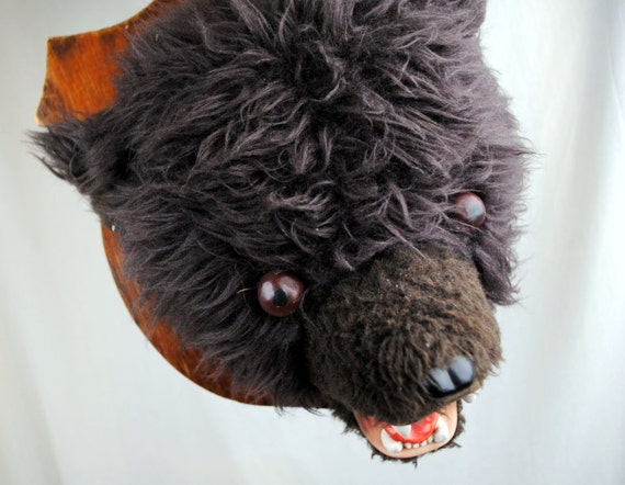 mounted bear head for sale