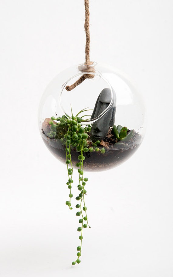 Hanging Round Terrarium Kit Desktop Micro-Environment - Everything you need for an Indoor Garden - Seeds, Instructions, Soil included