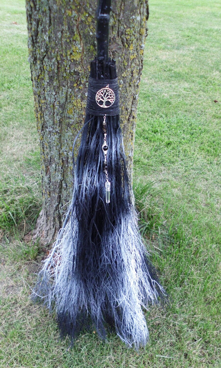 black witches broom