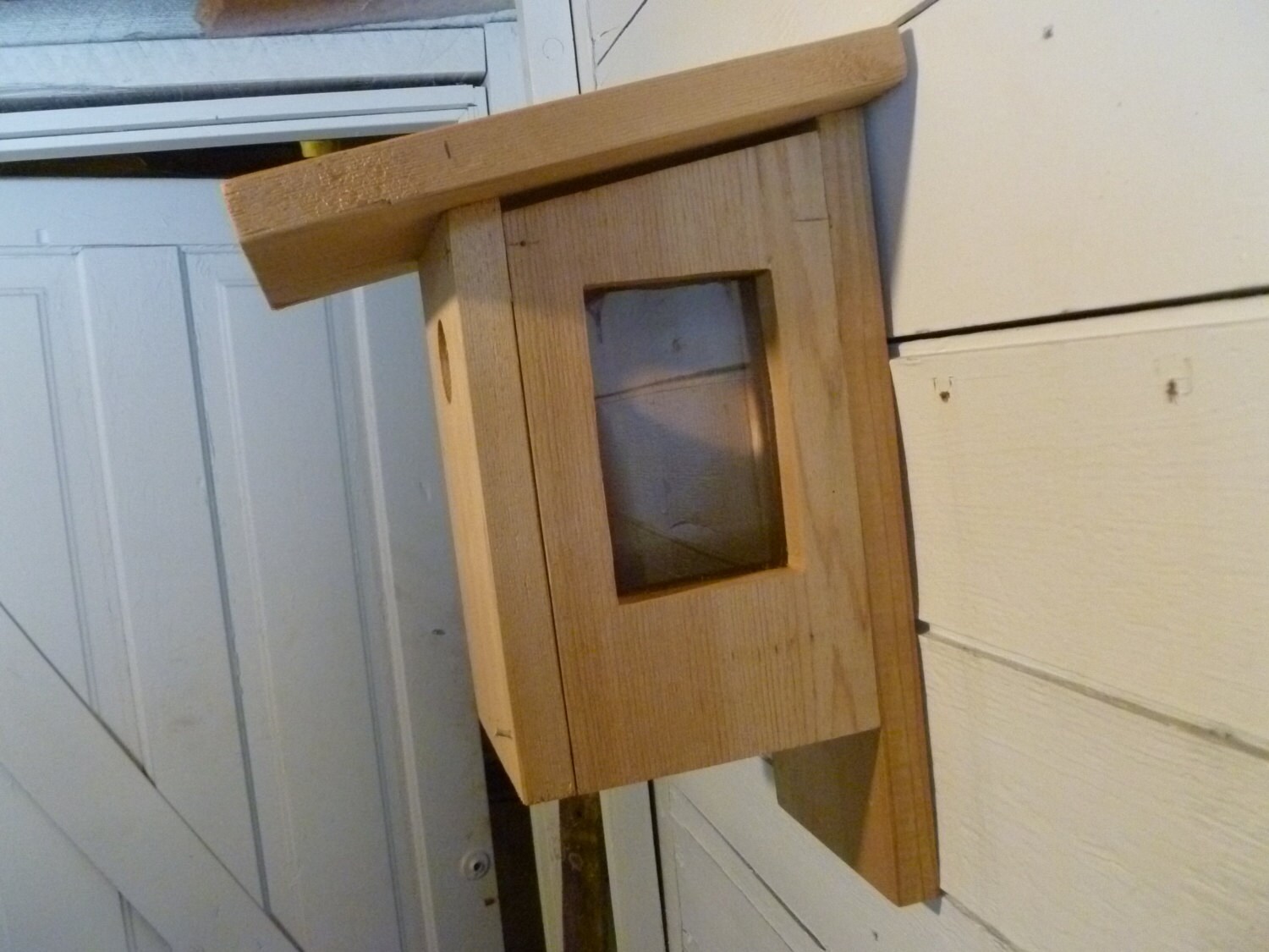 Blue Bird house with viewing window in door