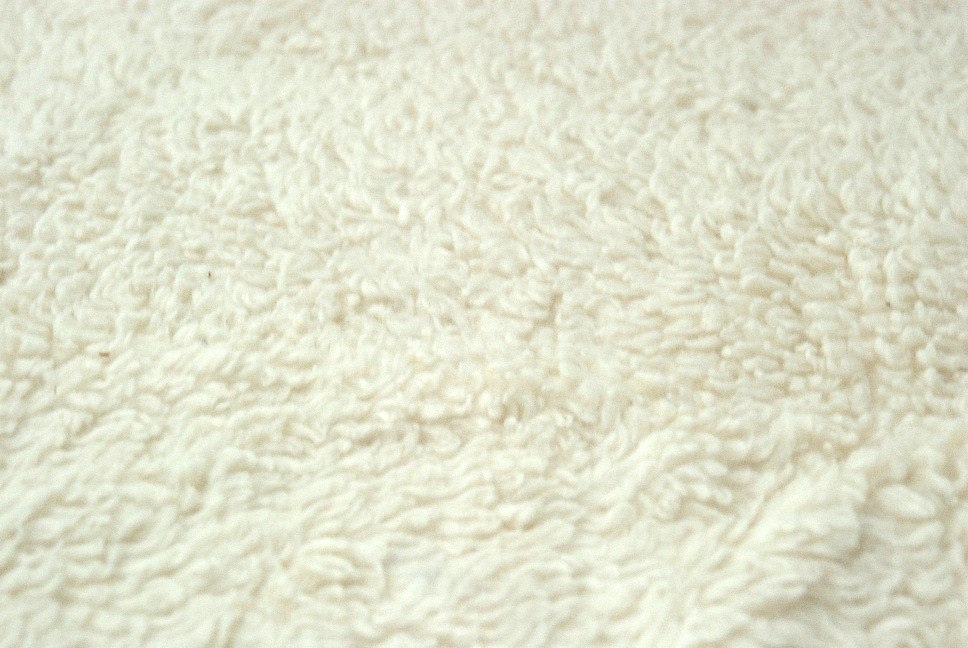 soft teddy fabric