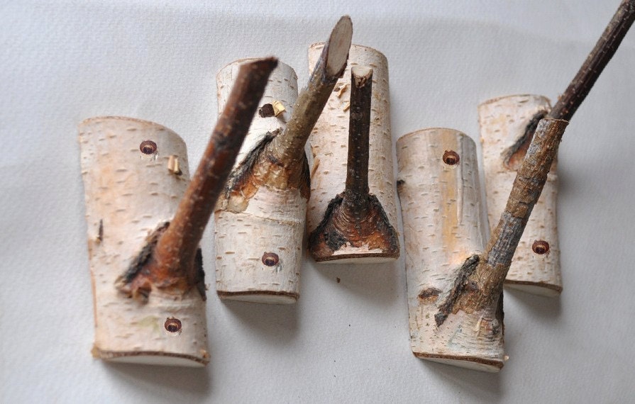 tree branch hooks . . . Birch Wooden Hooks for by WoodsOfNarnia
