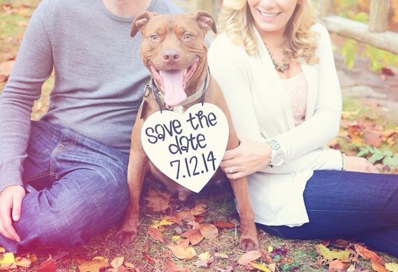 Dog Pet Photo Prop Engagement Dog Pet Photo Prop Engagement