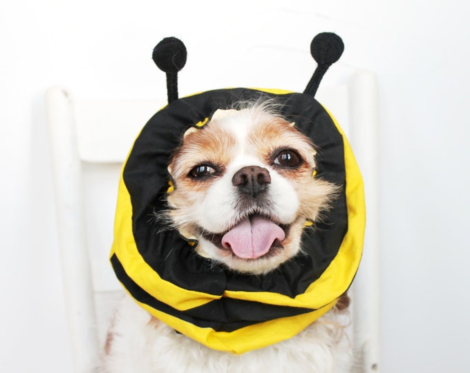 Costumes for pets Etsy