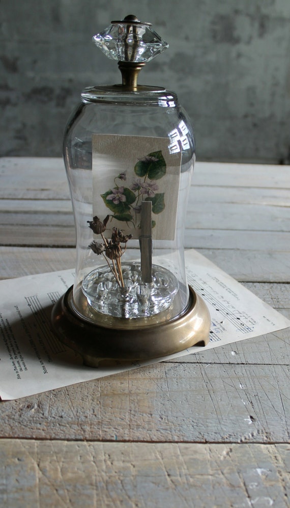 Cloche with Vintage Glass Door Knob and Brass Base