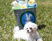 Personalized Easter Bucket Label Printable - You Pick Colors Il_170x135