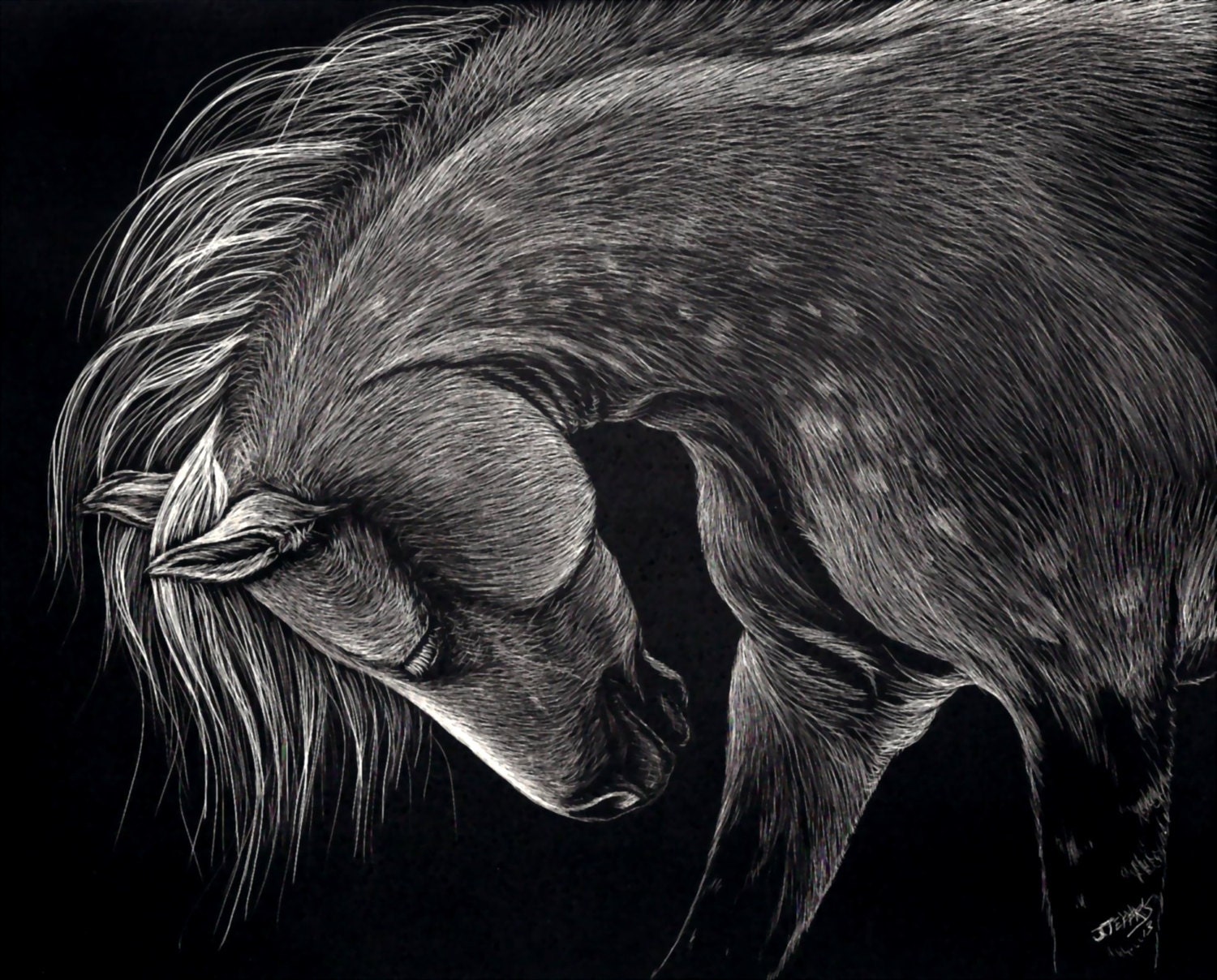 Original Scratchboard horse drawing Dappled