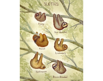 Sloths Field Guide Art Print / Watercolor Painting / Wall Art / Nature Print / Wildlife Art