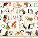 French Alphabet Wonderful Animal Alphabet Print 16x20