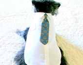 Small Dog's "Executive" Dress Shirt & Blue Tie Made to Order Pet Clothes Chihuahua Size