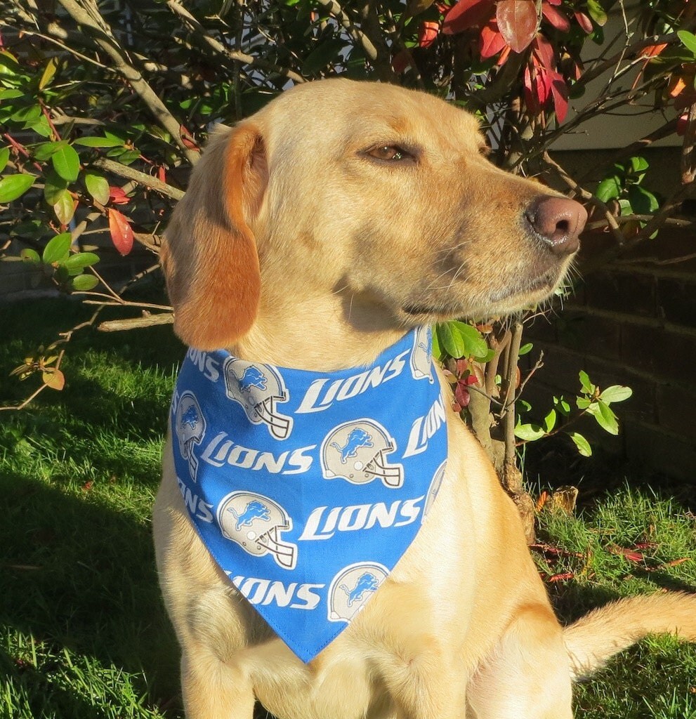 Detroit Lions Large Dog Bandana with Velcro Closure by ericaburris