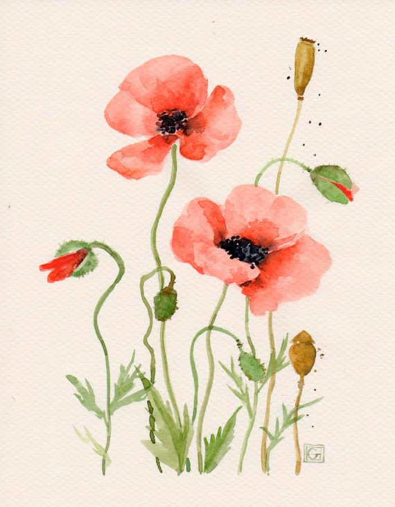 Floral Art Watercolor painting Original Flower art Red poppies
