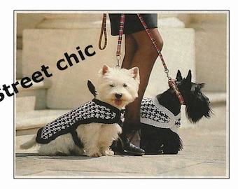 Dog Coat Knitting Pattern for Westie Dog - PDF