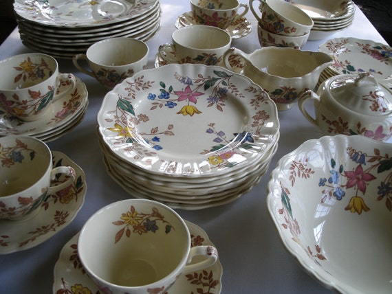 Vintage Cotswold Dinnerware by J & G Meakin England 51 Piece