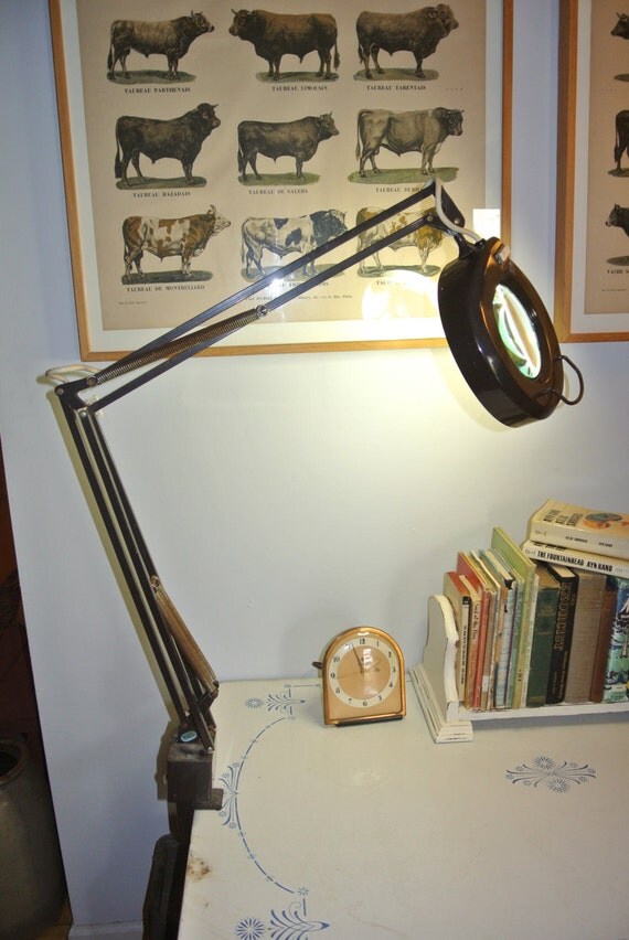 Vintage Metal Clamp On Magnifying Medical/Drafting Lamp