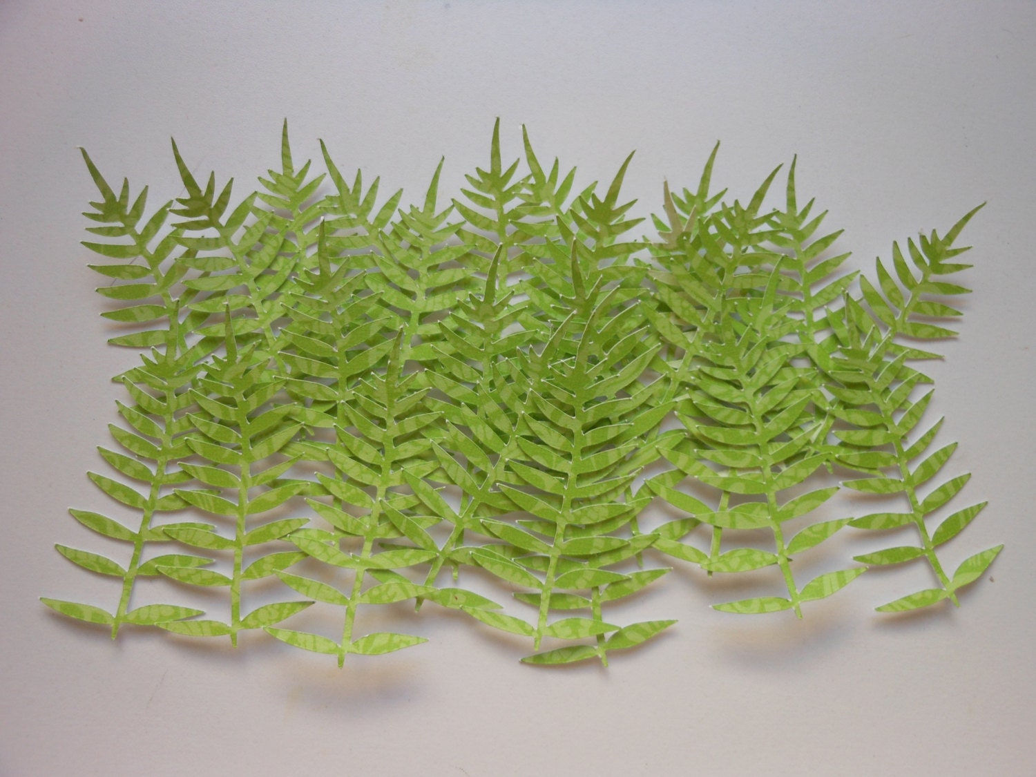 Die Cut Fern Leaves 2c