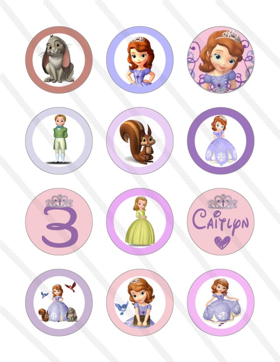 Items similar to Disney Princess Sofia the First Custom Birthday Party