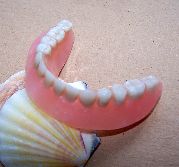 Vintage Tooth Dental Oddity. Vintage Lower Denture Plate