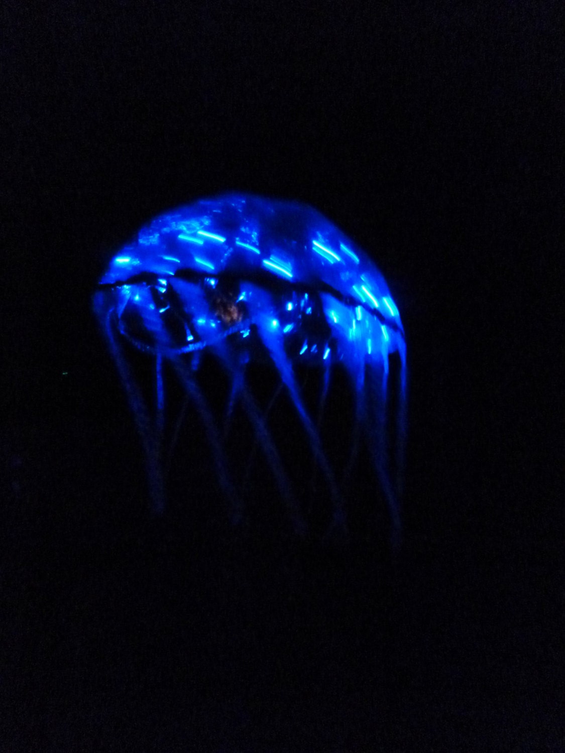 Jellyfish Costume Festival LED Umbrella. Under the Sea Fish