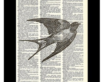 Swallow Bird in Flight Vintage Etching Dictionary Art Print
