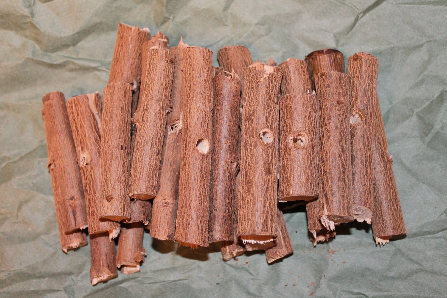 Organic processed hazelnut wood chew sticks chinchilla rabbit