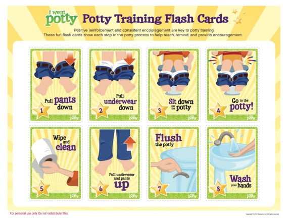 What Age Potty Training Best Books On Potty Training For Parents 