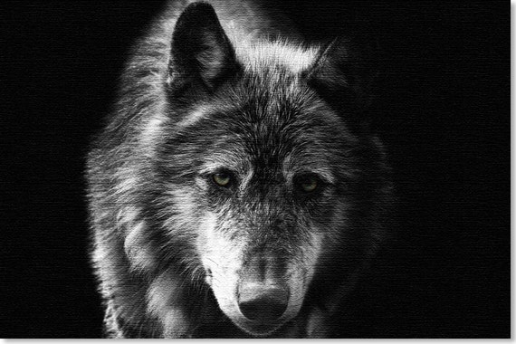 Wolf Canvas Art Art Print Black and White Print by ChoosyShop