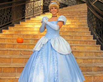 Cinderella Costume