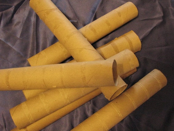 Paper towel cardboard tubes