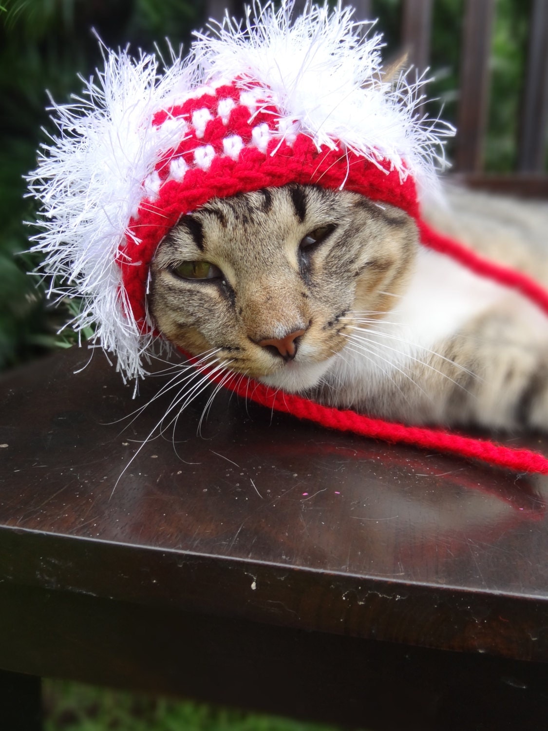 Christmas Cat Hat Costume The Wackadoodle Christmas Hat for