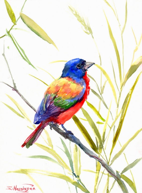 Painted Bunting Original watercolor painting 12 X 9 in blue