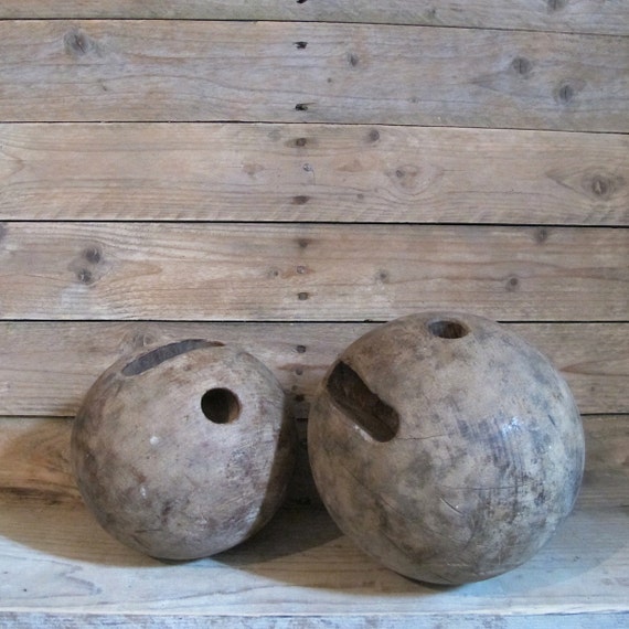 safe ant killers for pets