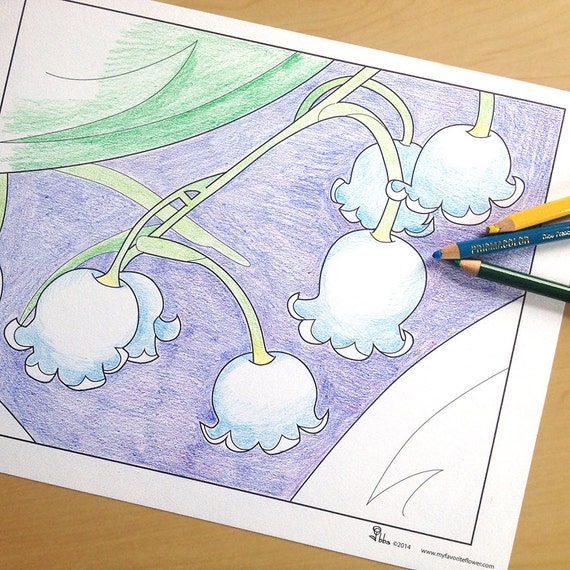 coloring page lily of the valley coloring sheet printable