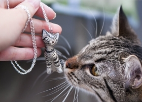 Custom cat portrait pendant silver plated chain - ceramic cat  - custom pet pendant necklace made to order spring gift